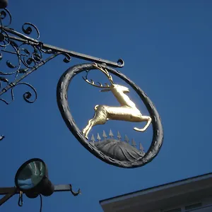 https://hotel-goldener-hirsch-bayreuth.com-bavaria.com
